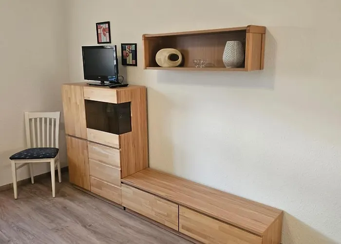 Neu! Eg Links Elsteraue